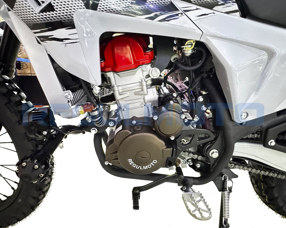 Мотоцикл Regulmoto TE PRO NB300