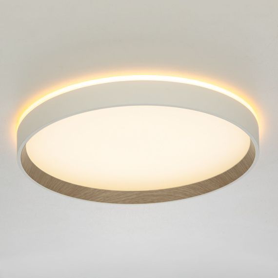 Потолочный светодиодный светильник Citilux Etalon CL750320R