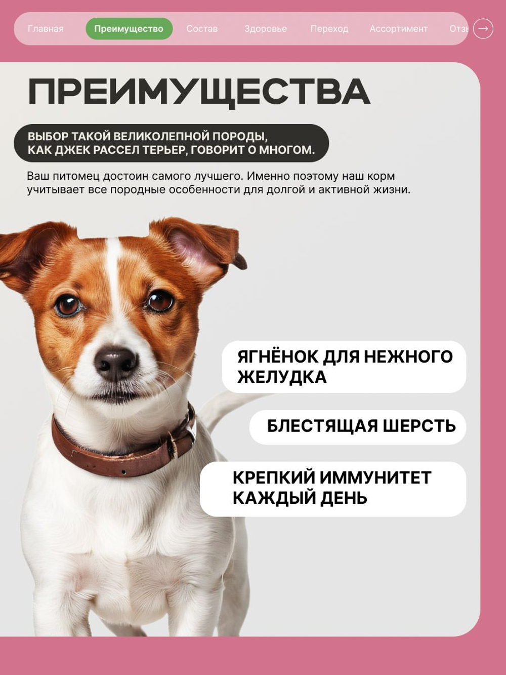 Корм сухой для взрослых собак породы Джек Рассел Терьер, с ягненком, 800 гр, QUATTRO
