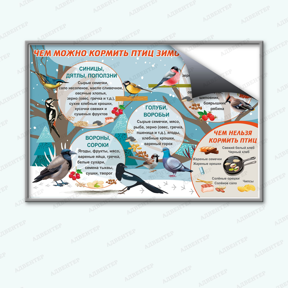 Комплект развивающий Мир птиц: Чем можно кормить птиц зимой 2158