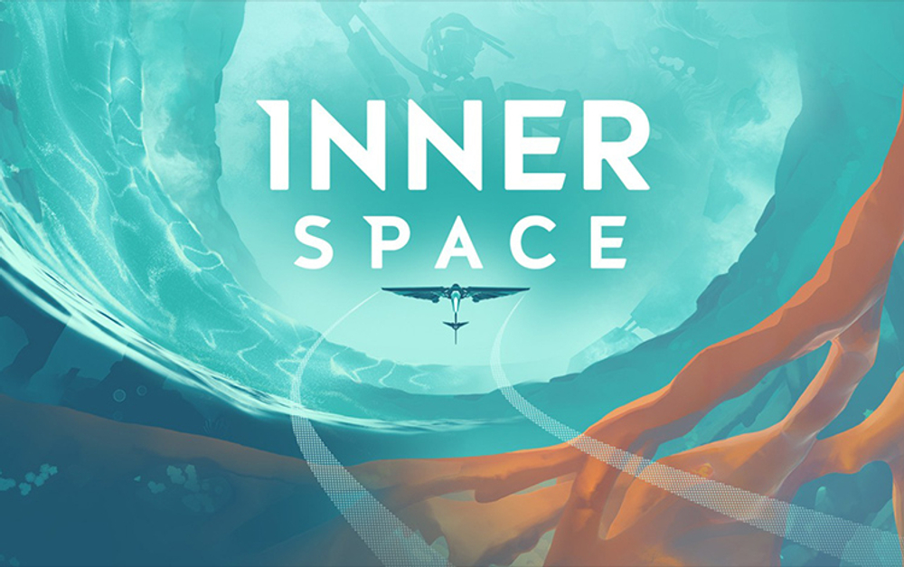 InnerSpace (для ПК, цифровой код доступа)