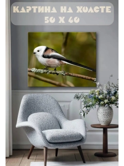 Картина на стену 40 X 50 Птичка