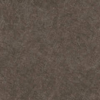 Alma Ceramica Evolution GFU04EVL40R 60x60