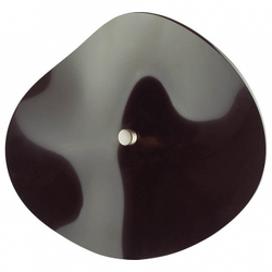 Бра Odeon Light 4859/5WL