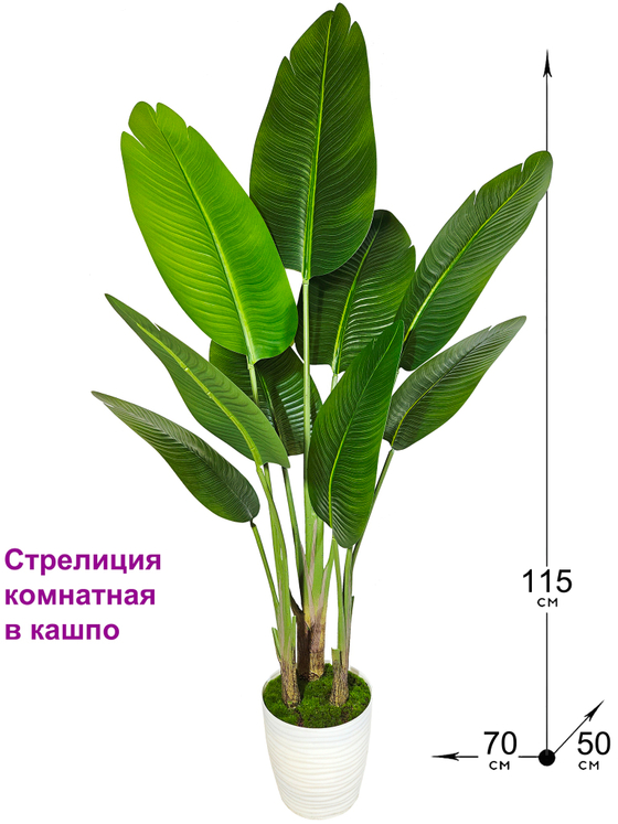Искусственное растение Стрелиция Комнатная в кашпо