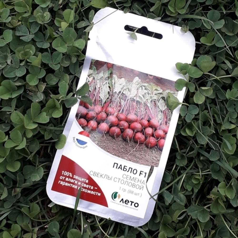 Cемена свеклы столовой Пабло F1,  Bejo,  1 гр.