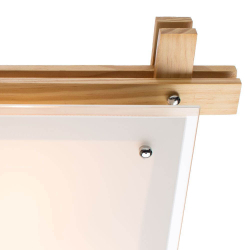 Накладной светильник Arte Lamp A6460PL-3BR