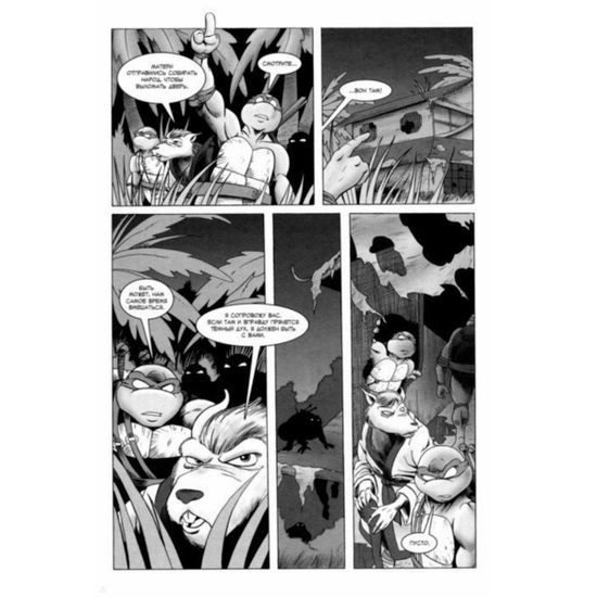 Рассказы о Черепашках-Ниндзя. Книга 5. Пантеон (суперобложка)