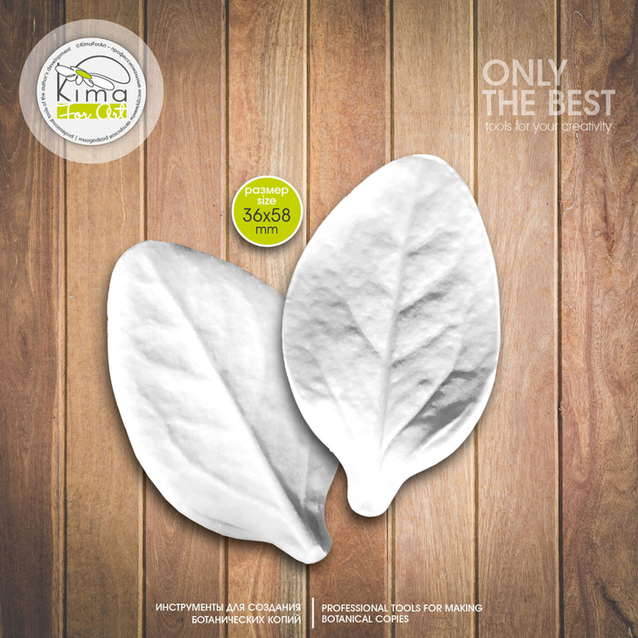 Петуния лист большой