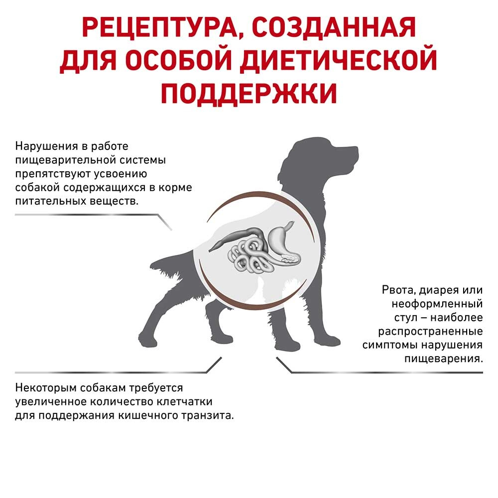 Royal Canin VET Gastro Intestinal High Fibre 2 кг - диета для собак с проблемами ЖКТ (повышенное содержание клетчатки)