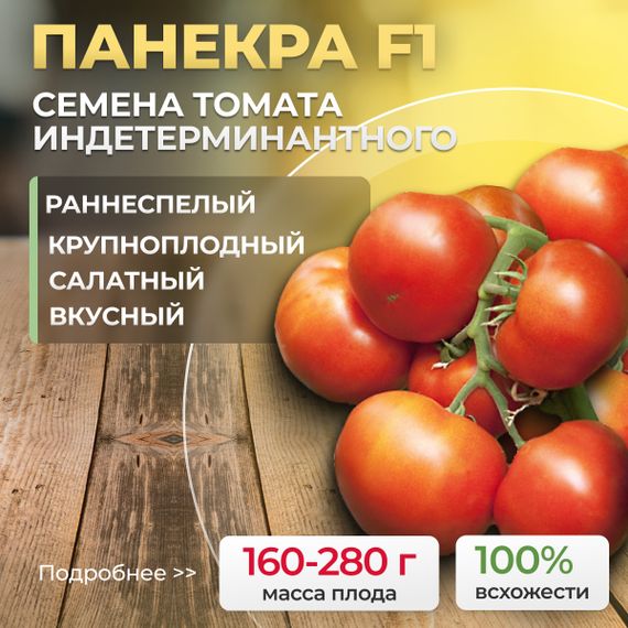 ПАНЕКРА F1 семена томата Syngenta купить
