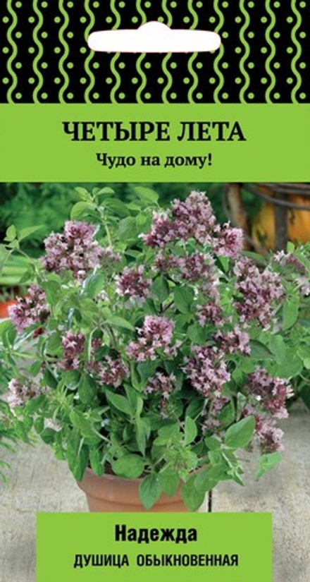 Душица Надежда обыкновенная 20шт (А) /Четыре лета/ Поиск