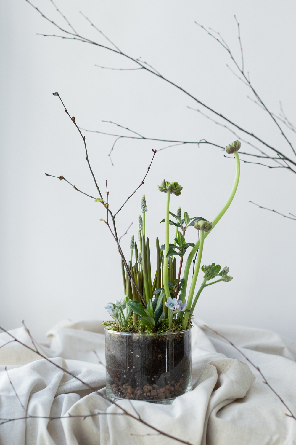 Живая композиция в стекле с первоцветами