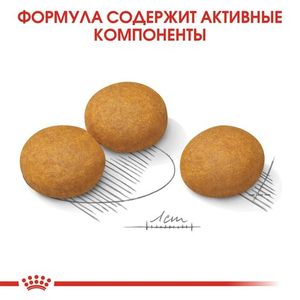 Корм для собак, Royal Canin Maxi Dermacomfort, при раздражениях и зуде, связанных с чувствительностью кожи