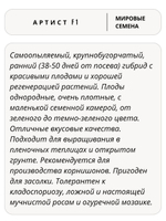 Семена огурцов Артист F1, 7 семян (Vita Green / Вита Грин)