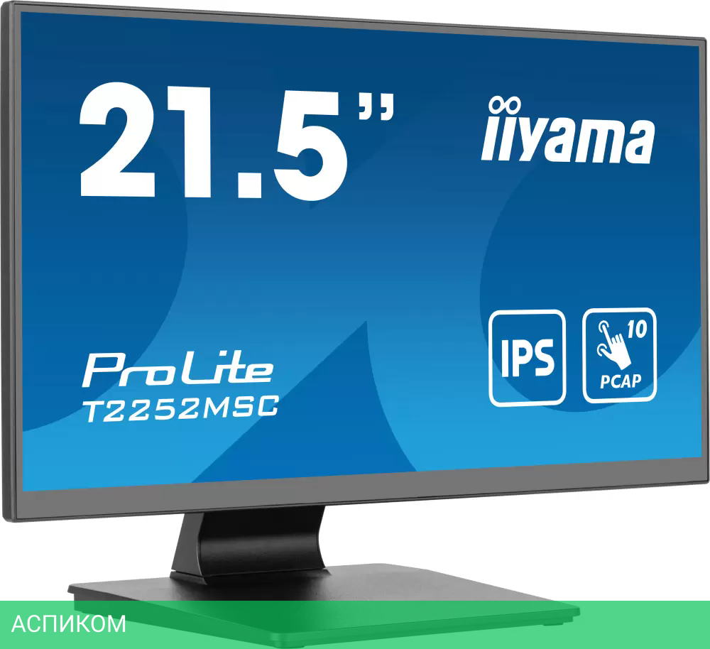 Монитор Iiyama ProLite T2252MSC-B2