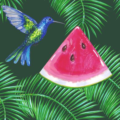 Колибри, дольки арбуза на зелёном