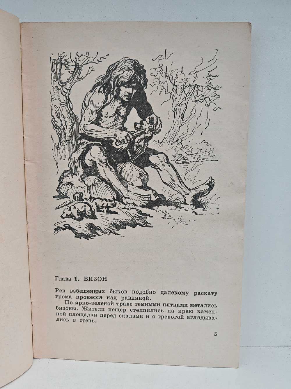 Каменный исполин