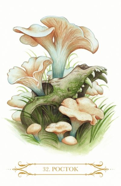 Оракул Компендиум Ведьм