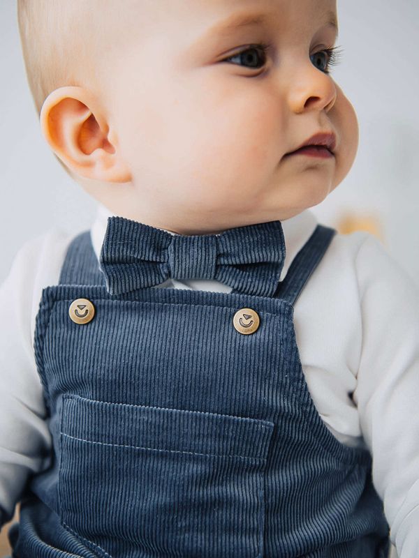 Галстук-бабочка 