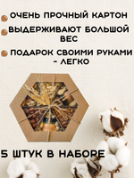 КОМПЛЕКТ коробок Орех 5шт