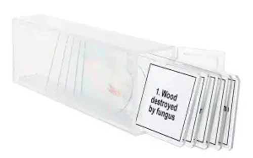 Набор микропрепаратов Levenhuk Discovery Prof DPS 5. «Мутации»