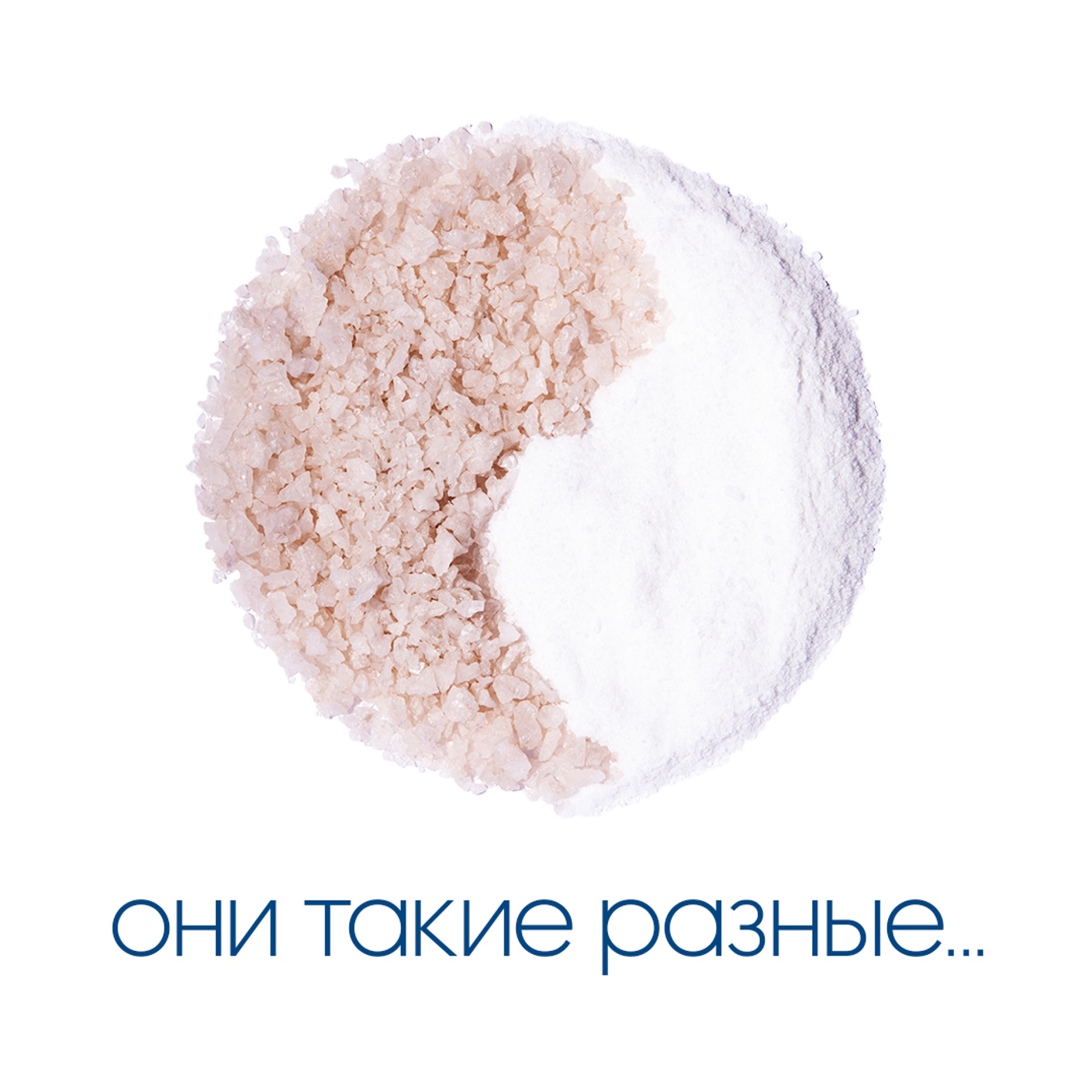 Они такие разные