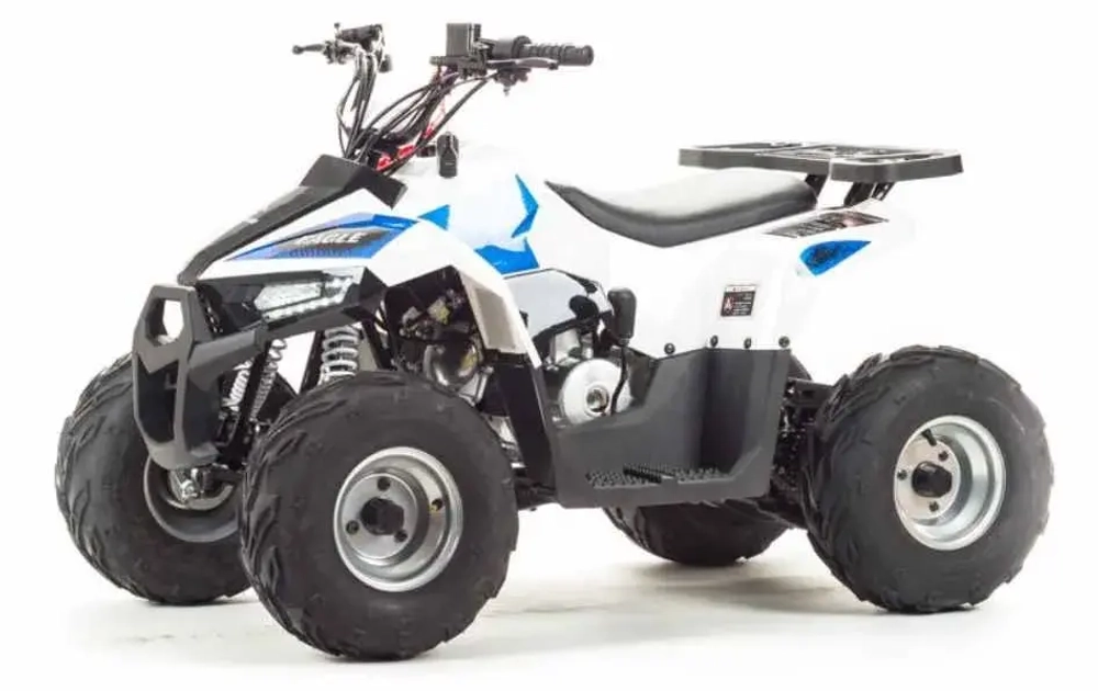 Квадроцикл Motoland 110 EAGLE (2020 г.)
