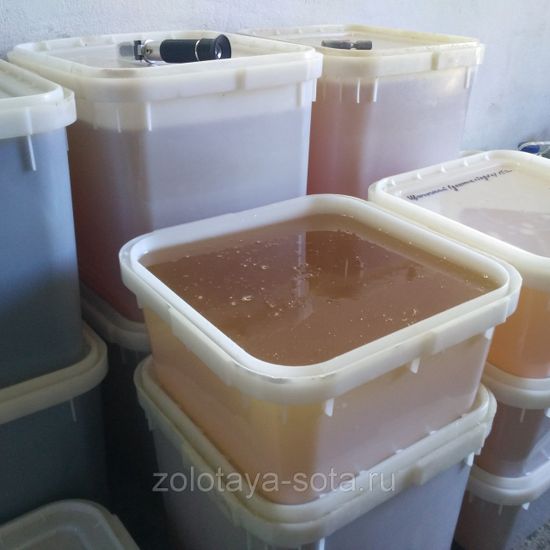 Мёд Липовый Приморье 1 кг