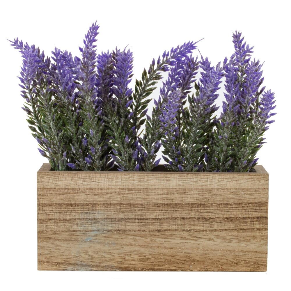 Цветочная композиция Лаванда