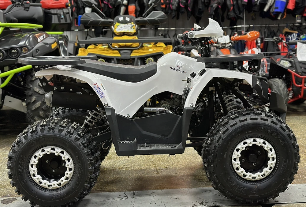 КВАДРОЦИКЛ PROMAX WILD 2.0 190