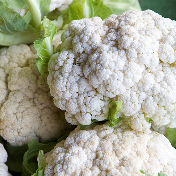 Опаал семена капусты цветной (Rijk Zwaan /ALEXAGRO) культура – фото 2