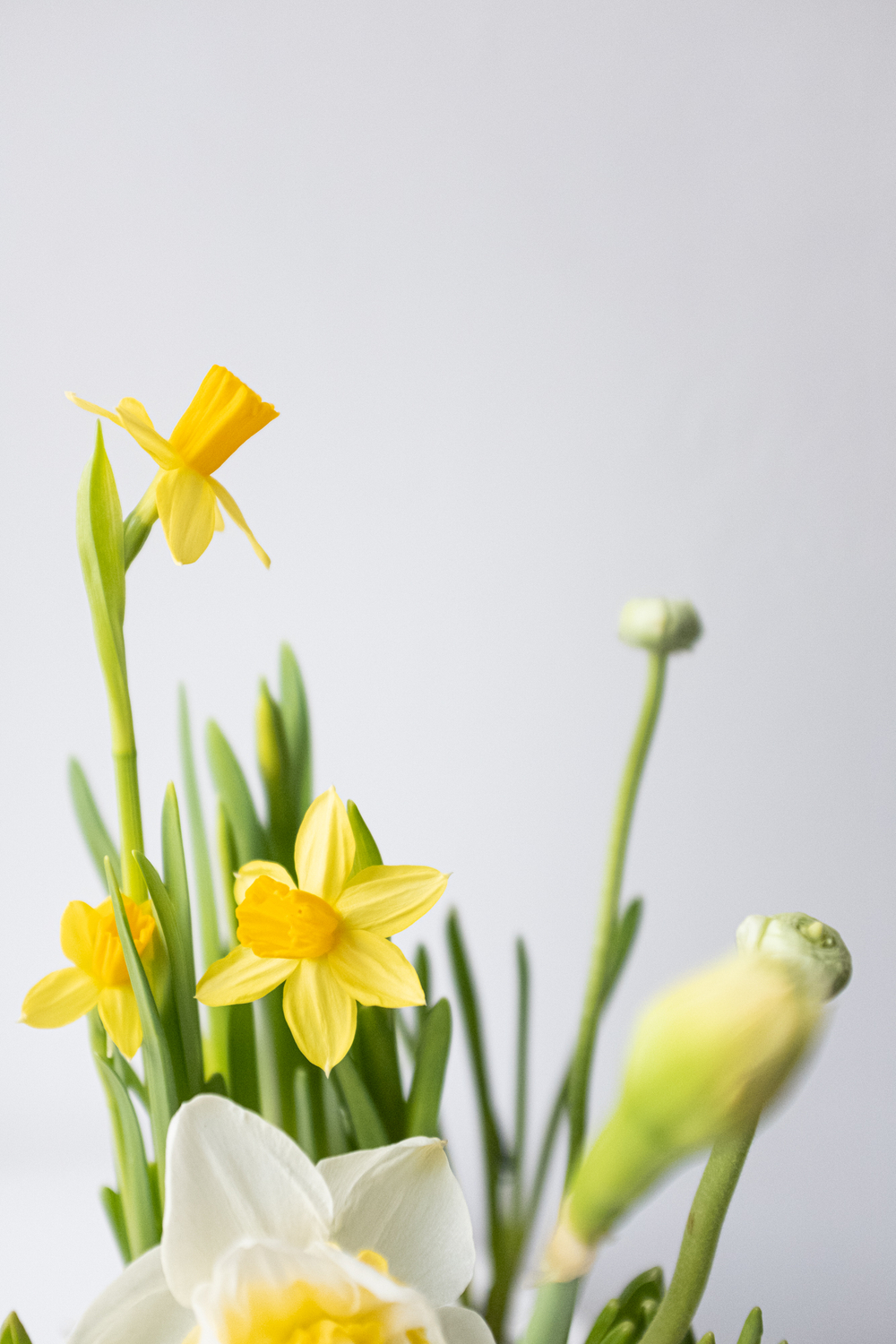 Композиция с первоцветами в вазе размер L