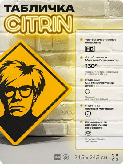 Табличка декоративная "Энди Уорхол, Andy Warhol" на дверь и стену, прикольная штука в подарок, декоративный знак, 24,5х24,5 см, пластиковая, Айдентика Технолоджи