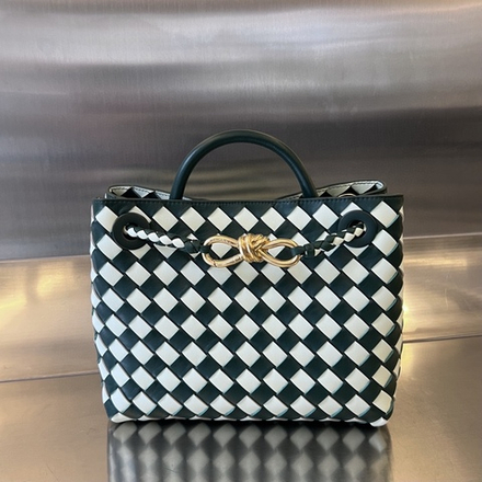 Bottega Veneta Small Andiamo 25 cm
