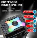 Колонка 10" (20-71 DANCE BOX 1300) динамик 2шт/12" ELTRONIC с TWS