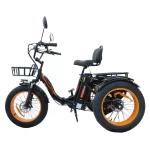 Электровелосипед Kugoo Trike