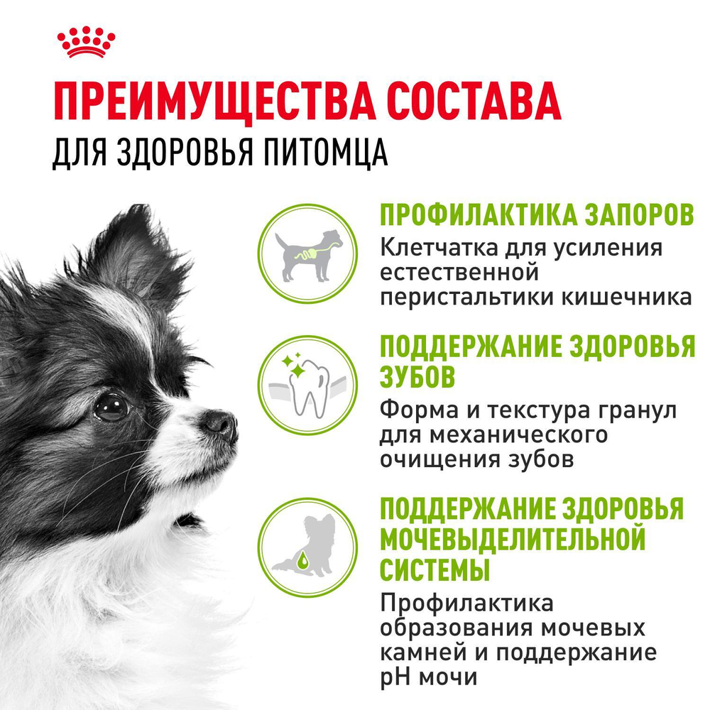 Royal Canin X-Small Adult Корм сухой для взрослых собак очень мелких размеров от 10 месяцев 3 кг