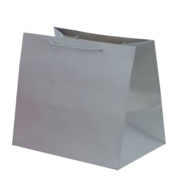 GAEM Пакет подарочный (бумага 230г/м2, блок 12шт), L28 W20 H25 см, 5в.