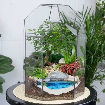 Готовый флорариум бонсай Японский вяз Бонсариум XL с озером