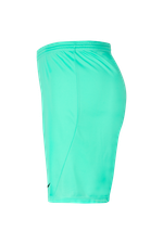 Шорты Nike Dry Park III