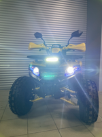 Квадроцикл PROMAX WILD 2.0 190 PRO (2025)