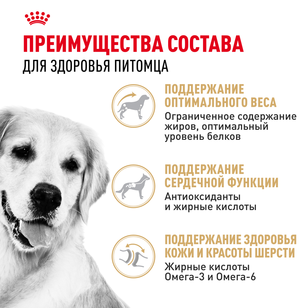 Сухой корм Royal Canin Golden Retriever Adult для взрослых собак породы Голден Ретривер от 15 месяцев 12кг