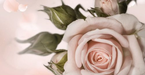 Дизайнерские №66 Фотообои и Фрески ручной работы