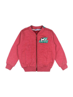 Толстовка д/мал р.116 борд (Bonito) BK824K