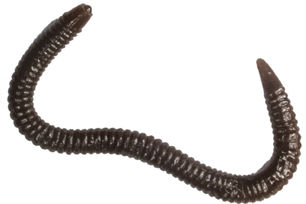 Мягкая приманка LureMax GARDEN WORM