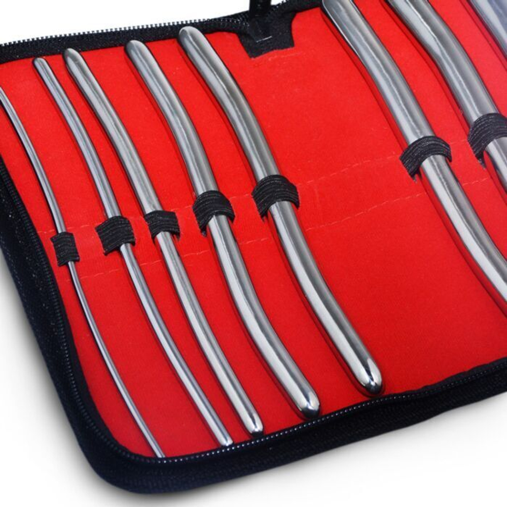 Набор из 8 уретральных расширителей Hegar 8 Urethral Sounds (Цвет: серебристый)