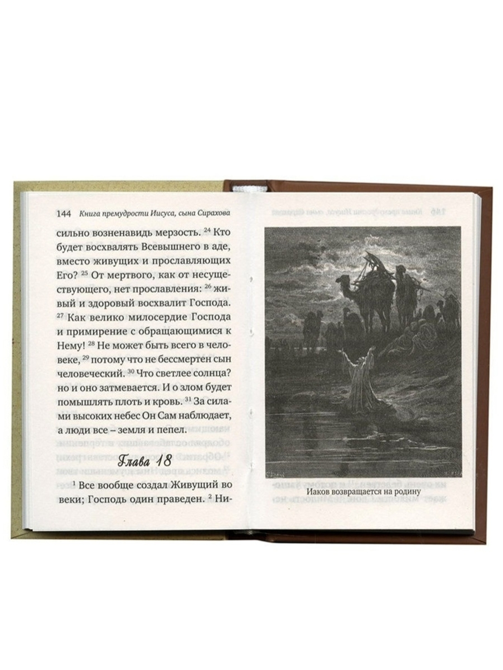Книга премудрости Соломона. Книга премудрости Иисуса, сына Сирахова