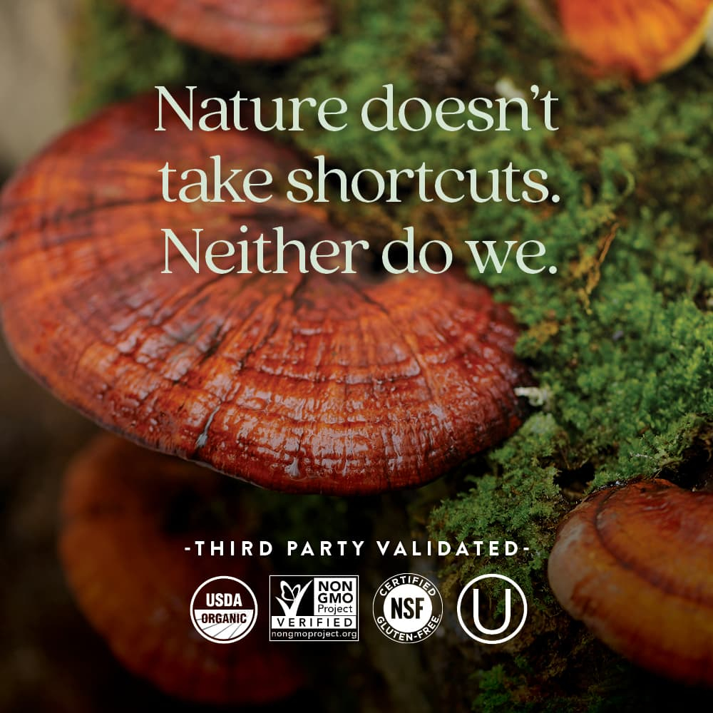 New Chapter, Ферментированный витамин D3, 2000 МЕ, 90 вегетарианских таблеток