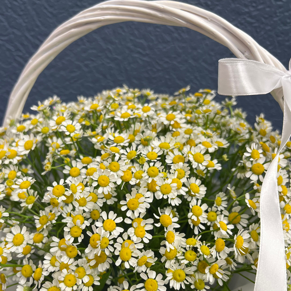 Корзина из 15 матрикарий #24